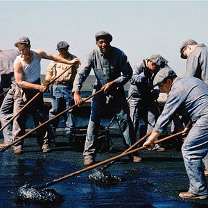 Bilder Morgan Freeman