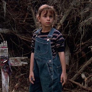 Bilder Friedhof der Kuscheltiere