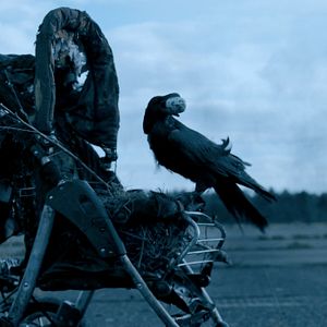 Bilder S.U.M. 1 - Control Your Fear