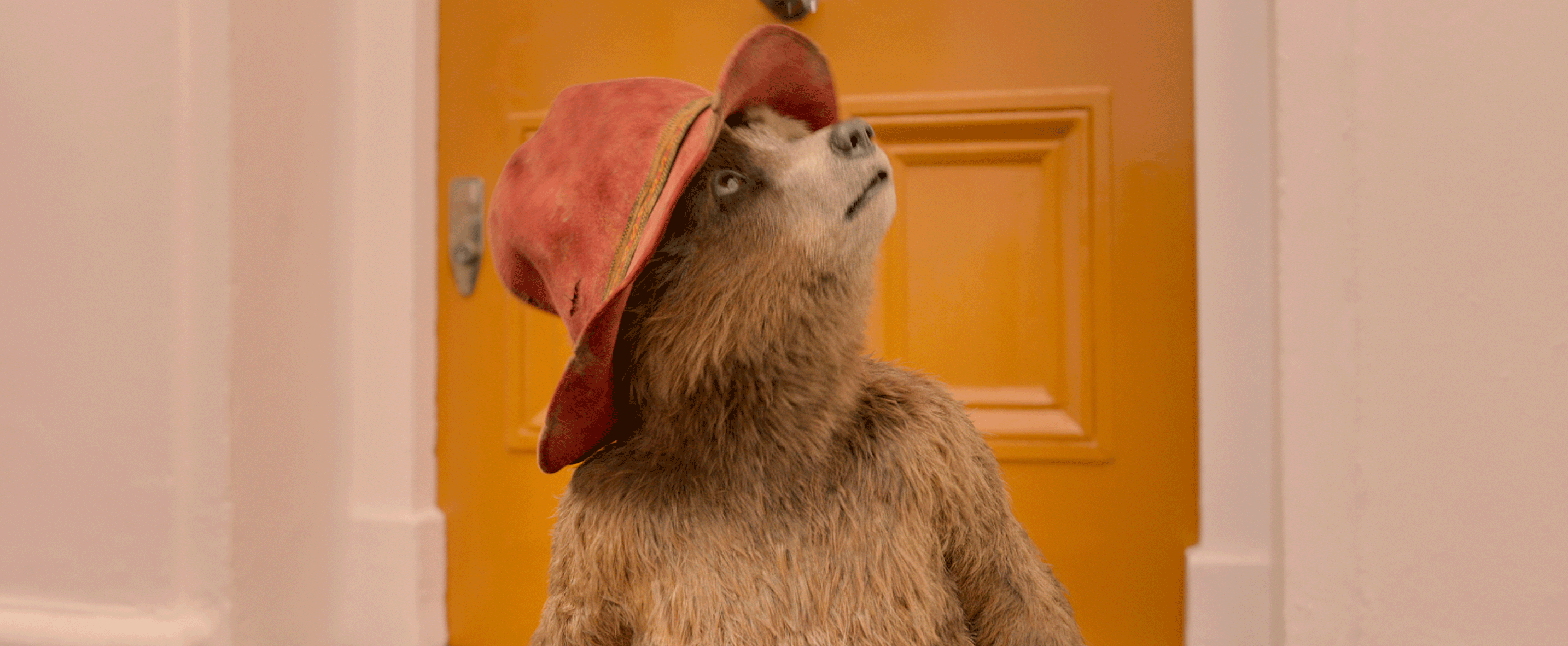 Bilder Paddington 2