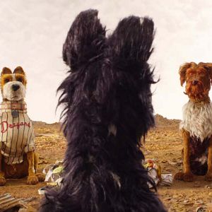 Bilder Isle of Dogs - Ataris Reise