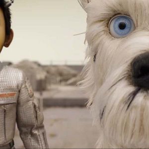 Bilder Isle of Dogs - Ataris Reise