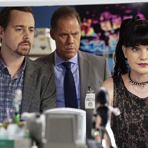 Bilder Pauley Perrette