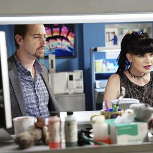 Bilder Pauley Perrette