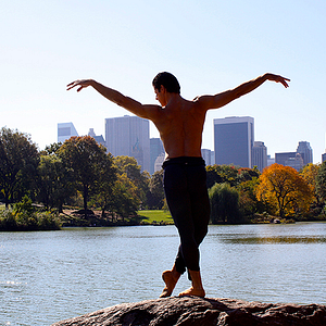 Bilder Anatomy of a Male Ballet Dancer