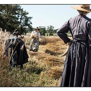 Bilder The Guardians