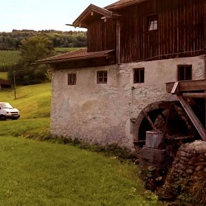 Bilder Austreten - ma sogt ja nix, ma redt ja bloß