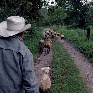 Bilder Bosque de Niebla