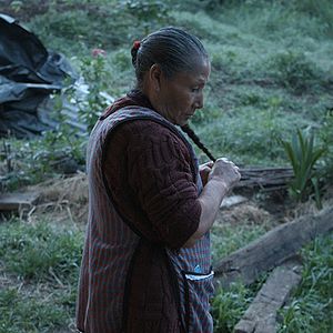 Bilder Bosque de Niebla