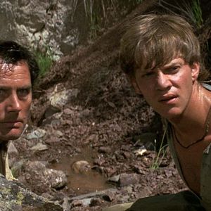 Bilder Im Visier des Falken