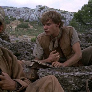 Bilder Im Visier des Falken