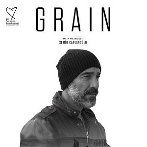 Bilder Grain - Weizen