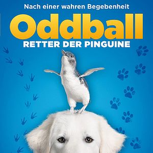 Bilder Oddball - Retter der Pinguine