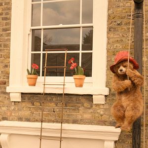 Bilder Paddington 2