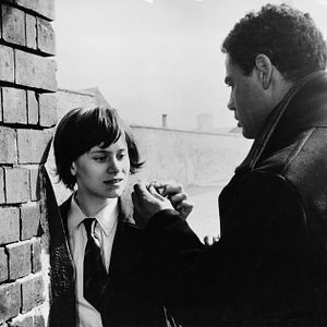 Bilder Bitterer Honig