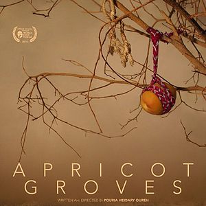 Bilder Apricot Groves