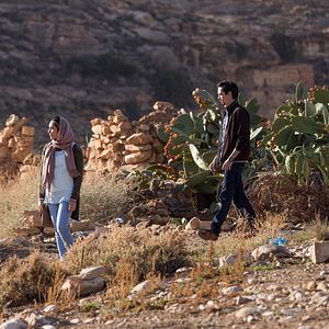 Bilder Warten auf Schwalben