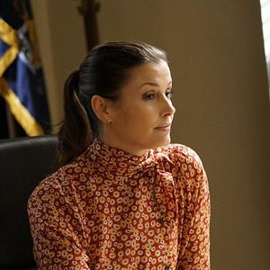 Bilder Bridget Moynahan