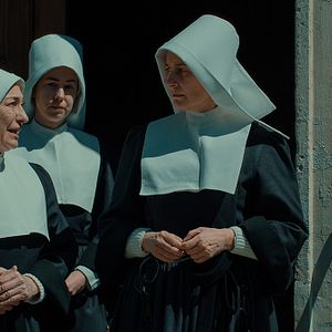 Bilder Das Netz der Freiheit