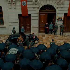 Bilder Das Netz der Freiheit