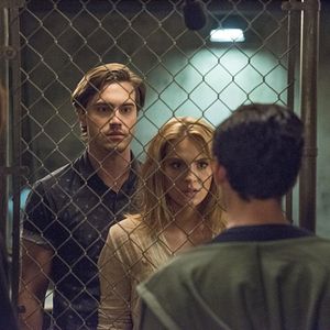 Bilder Saxon Sharbino