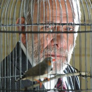 Bilder Kishvard Manvelishvili