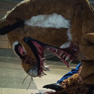 Bilder Bruce Campbell