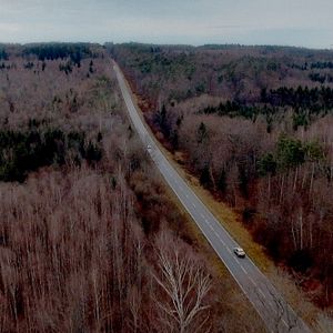 Bilder Die Vierhändige