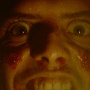 Bilder Night Of The Virgin