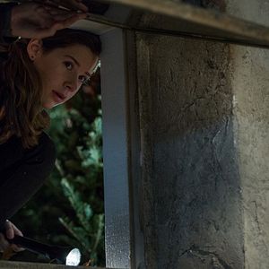 Bilder Haus des Zorns - The Harvest