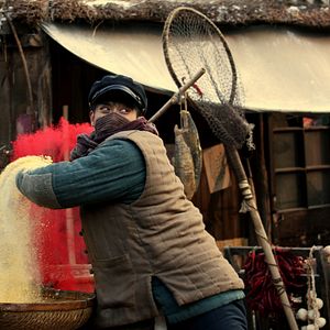 Bilder Railroad Tigers