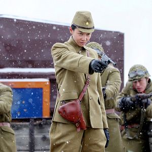 Bilder Railroad Tigers