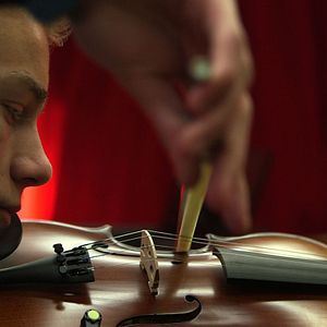 Bilder Good Vibrations