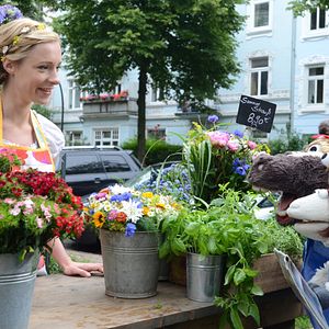 Bilder Sesamstraße präsentiert: Das Geheimnis der Blumenfabrik