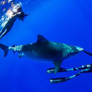 Bilder Shorebreak - Die perfekte Welle. Clark Little - Wellenfotograf