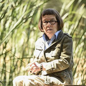 Bilder Linda Hunt