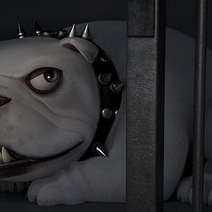 Bilder Rudolf, der schwarze Kater