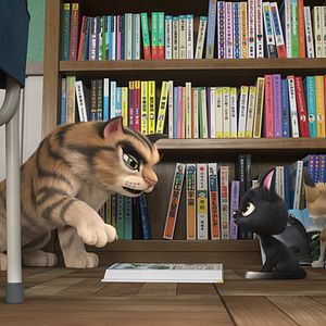 Bilder Rudolf, der schwarze Kater