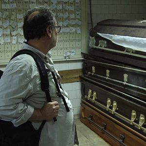 Bilder El color del camaleón