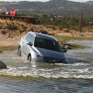 Bilder Yol Arkadaşım