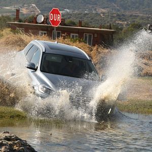 Bilder Yol Arkadaşım