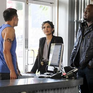 Bilder Wisdom Of The Crowd