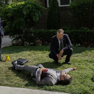 Bilder Marisa Ramirez