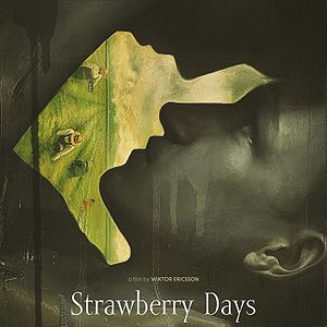 Bilder Jordgubbslandet