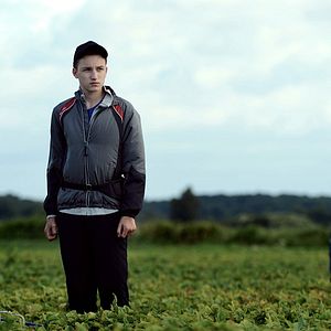 Bilder Jordgubbslandet