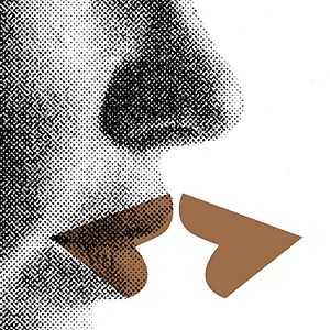 Bilder Animals - Stadt Land Tier