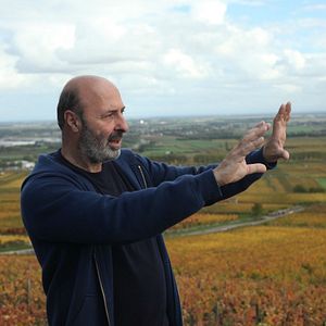 Bilder Der Wein und der Wind