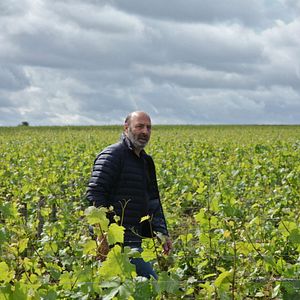 Bilder Der Wein und der Wind