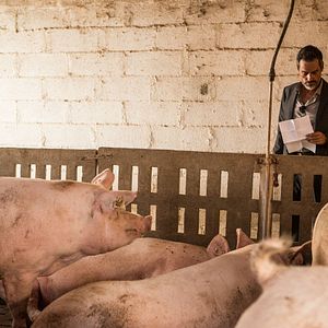 Bilder Filipe Duarte