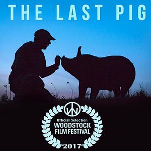 Bilder The last pig